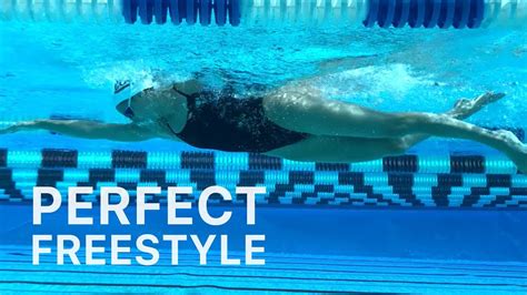 How to Swim Freestyle Faster: And Why Dolphins Might Be Better Coaches Than Humans